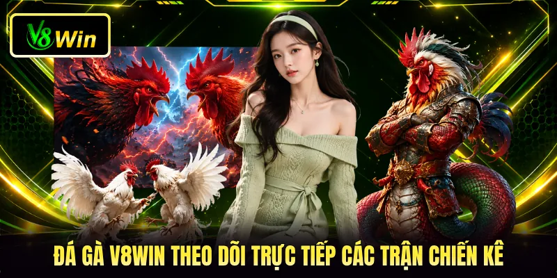 Đá gà V8WIN theo dõi trực tiếp các trận chiến kê
